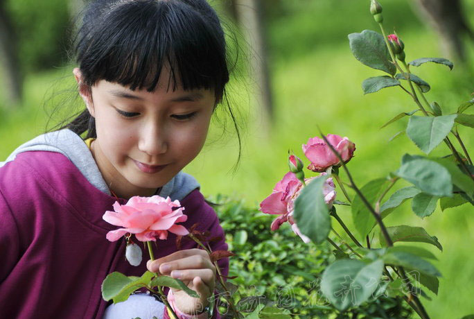 成都花卉租赁