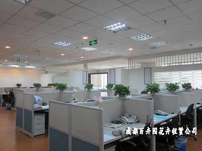 成都植物租摆