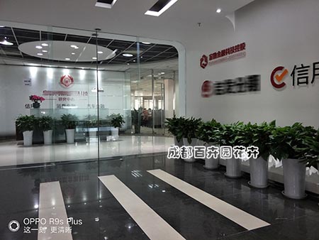 办公室租植物、租花摆花好处多