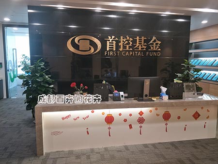 成都植物租赁服务哪家好？价格低