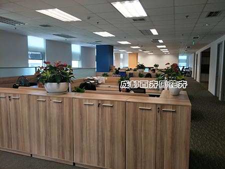 成都植物租摆设计内植物租摆方案及摆放风格