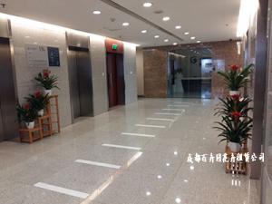 成都植物租赁分解办公室绿化植物的布置方案