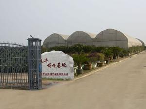成都百卉园园林绿化工程有限责任公司，专注园林景观、绿植租摆、精细养护一站式服务，匠心造景、精于养护，基地直供、专人养护、定期焕新，以专业品质为空间注入自然生机，精耕园艺服务、升级客户体验，与您共筑生态之美，放心托付每一片绿意！