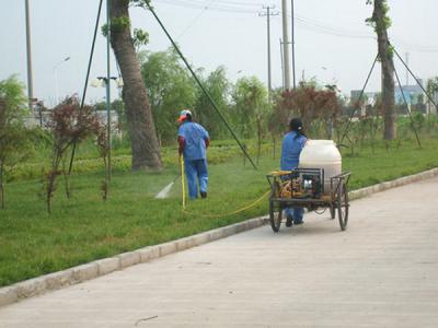 绿化养护草坪打药防治