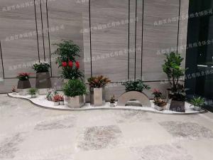成都绿植花卉租赁组景造型