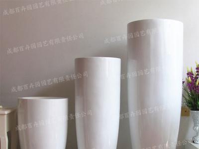  成都花卉绿植租摆组合造景专用花盆