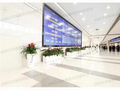  写字楼植物租赁方案