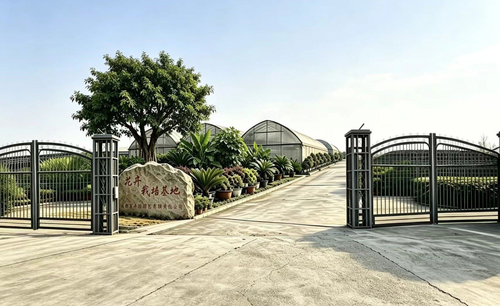 成都百卉园园艺有限责任公司-植物租赁_庭院花园设计施工_园林绿化工程施工与养护
