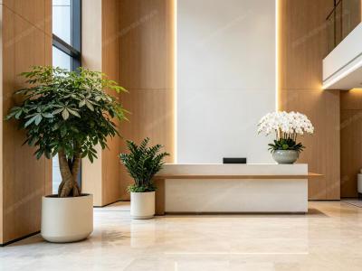 办公室绿植租摆实景案例