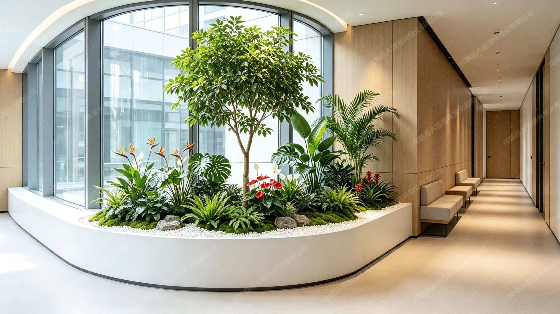 植物租赁方案-办公室植物造景案例