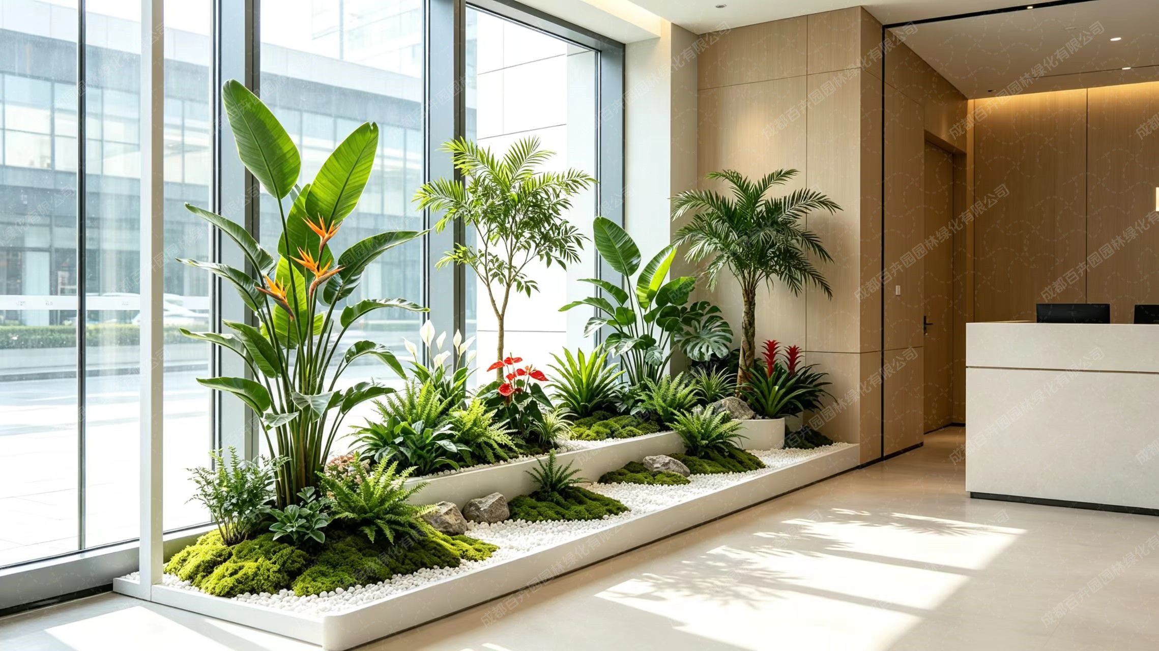 植物组景2