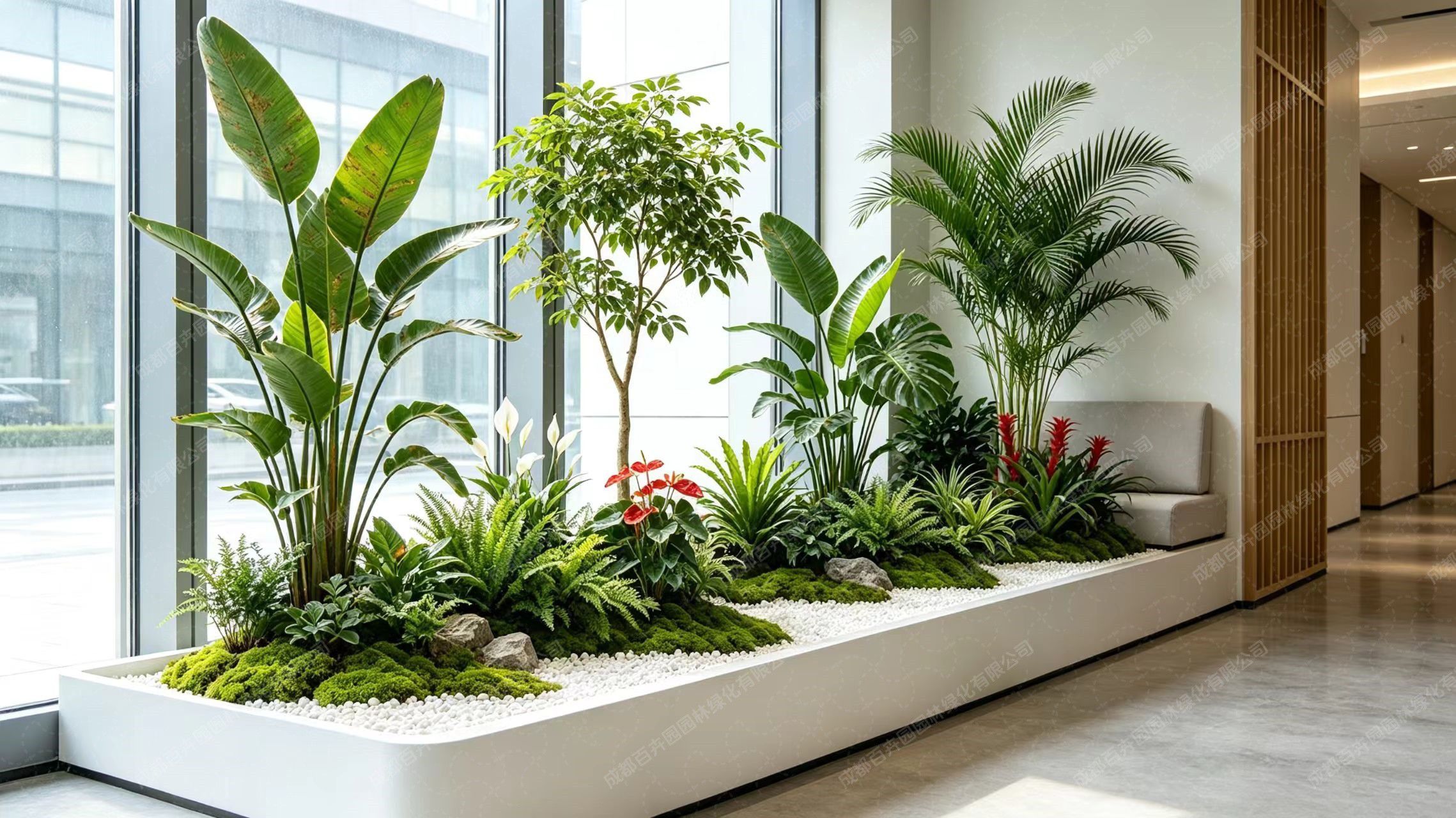 植物组景3