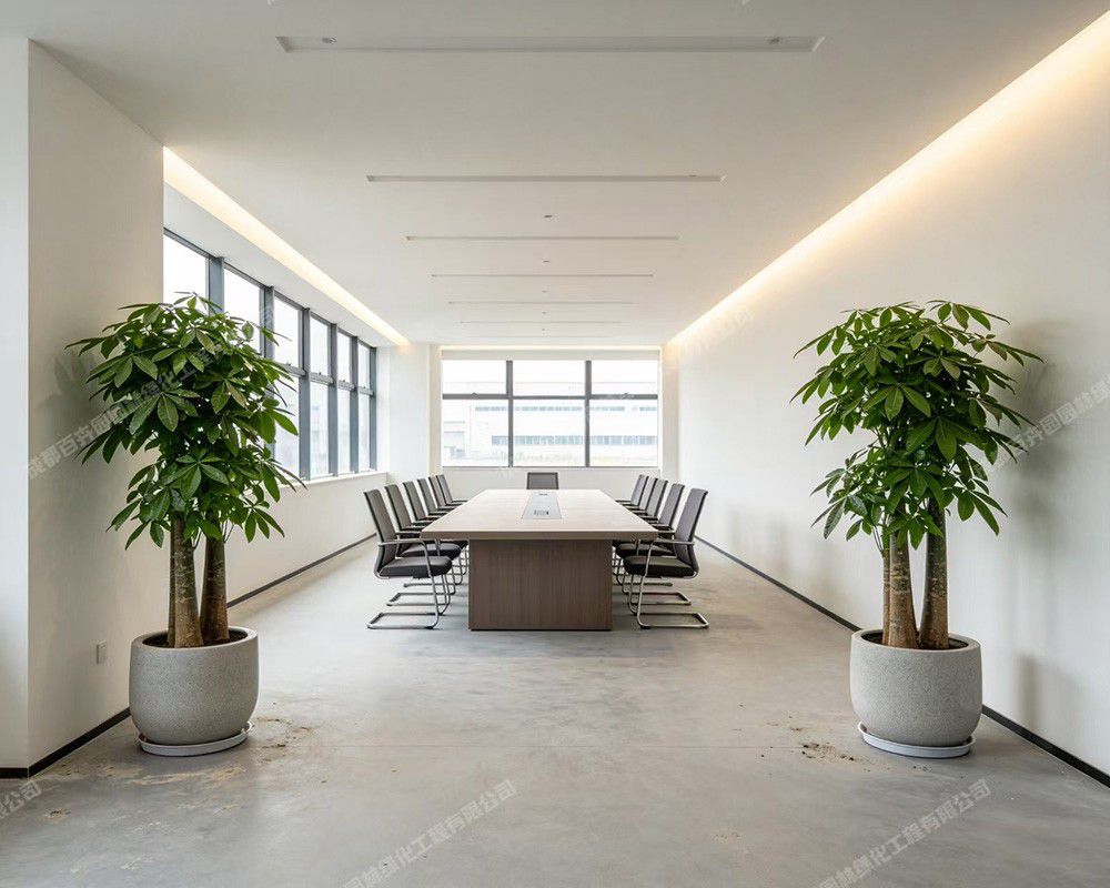 厂区办公室绿植租摆1 拷贝副本