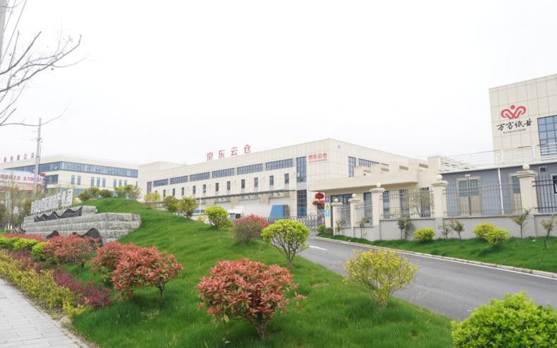苗木市场行情简析，绿化工程选苗要兼顾品质与适配性