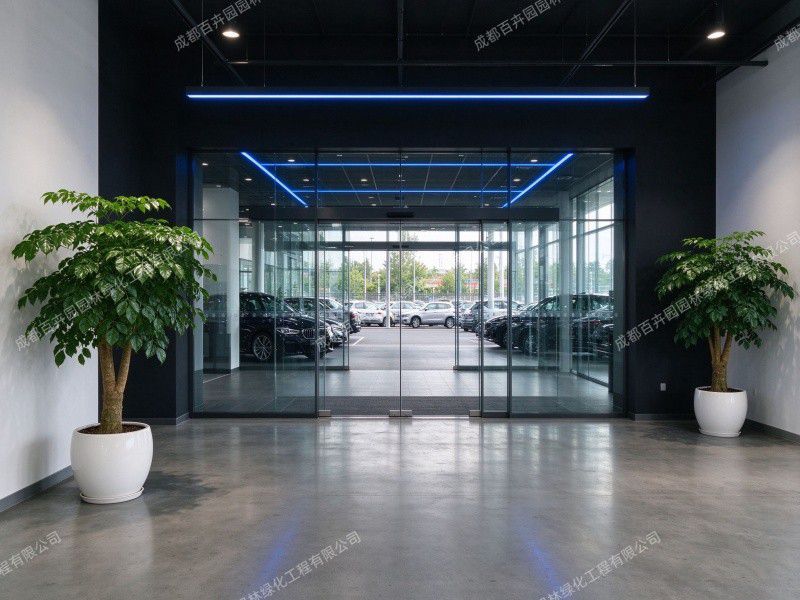 汽车4S店植物租赁8 (1)