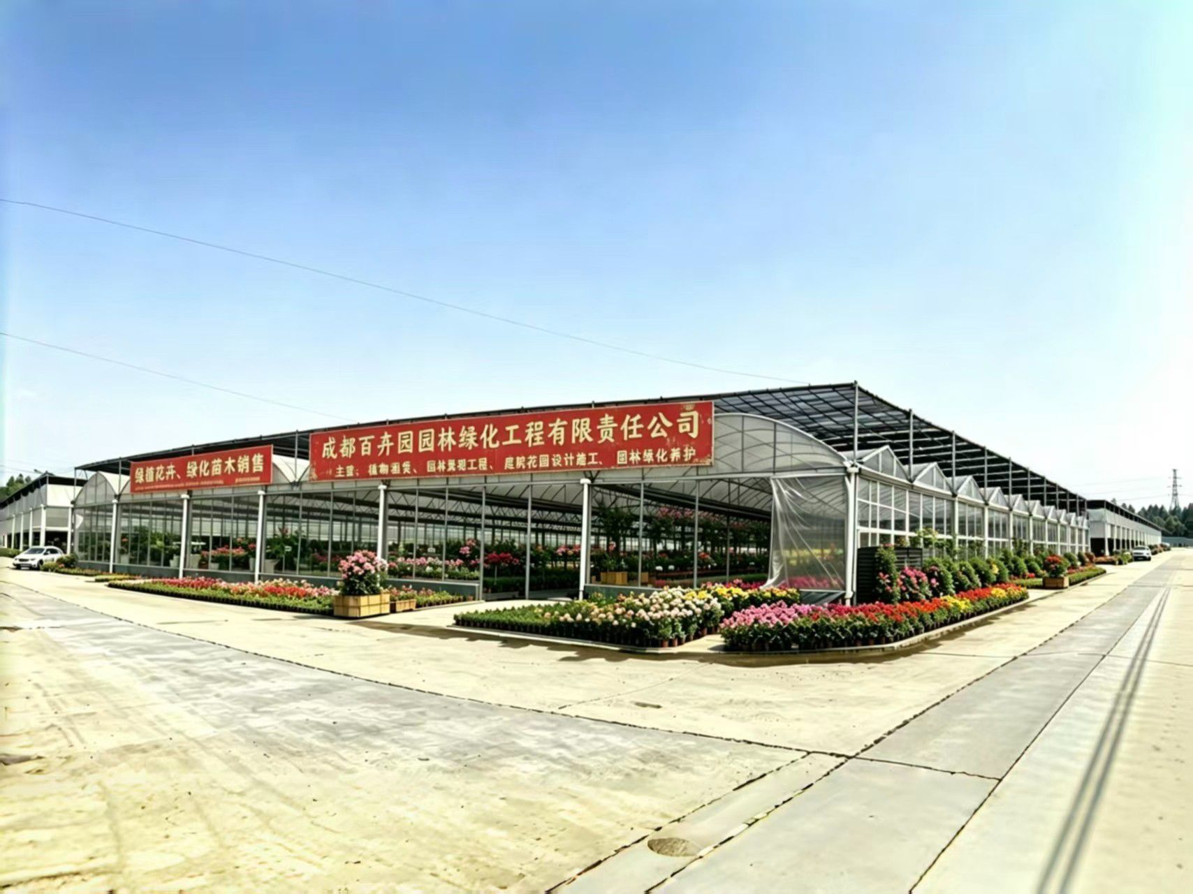成都百卉园园林绿化工程有限责任公司-植物租赁_庭院花园设计施工_园林景观工程施工与养护 成都百卉园园林绿化工程有限责任公司-植物租赁_庭院花园设计施工_园林景观工程施工与养护
